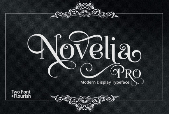 Novelia Pro: A Display Font for Stunning Creative Work